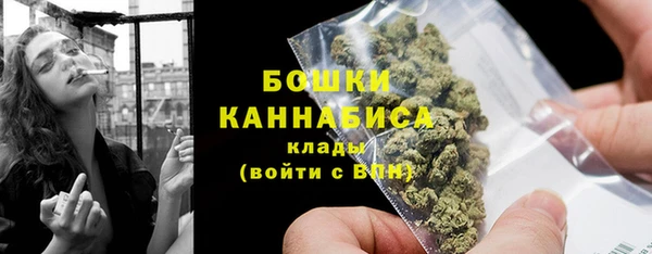 амф Верхний Тагил