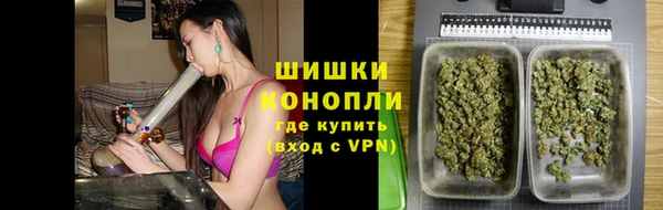 амф Верхний Тагил