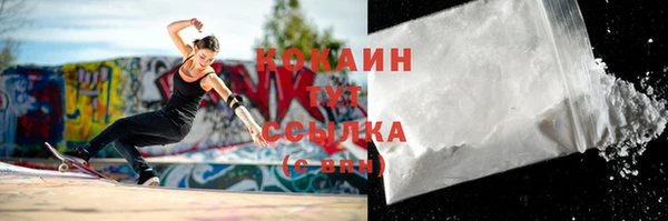 амф Верхний Тагил