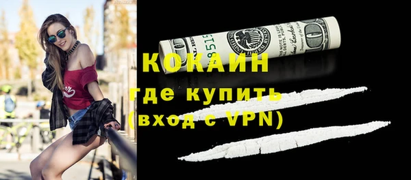 амф Верхний Тагил