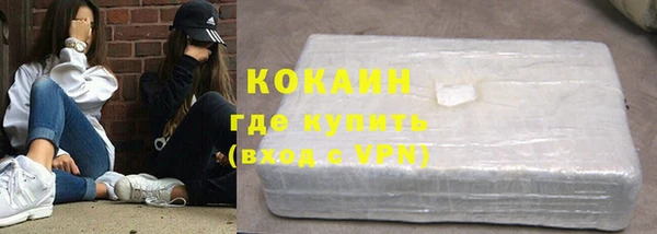 амф Верхний Тагил