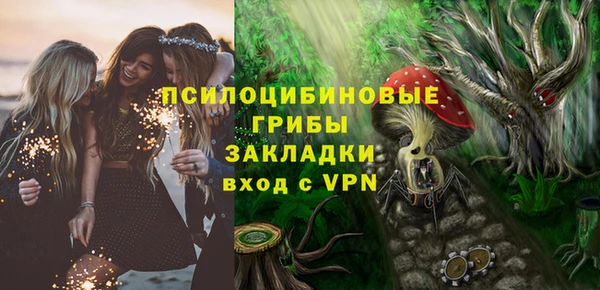 амф Верхний Тагил