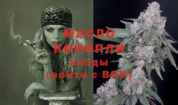амф Верхний Тагил