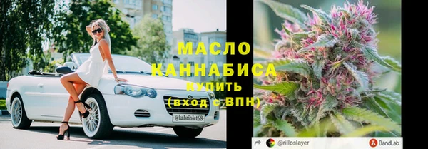 амф Верхний Тагил