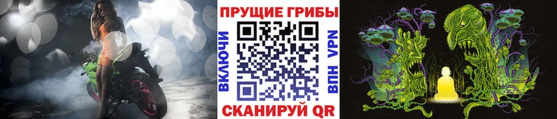 Псилоцибиновые грибы Psilocybe цена наркотик KRAKEN онион Высоцк